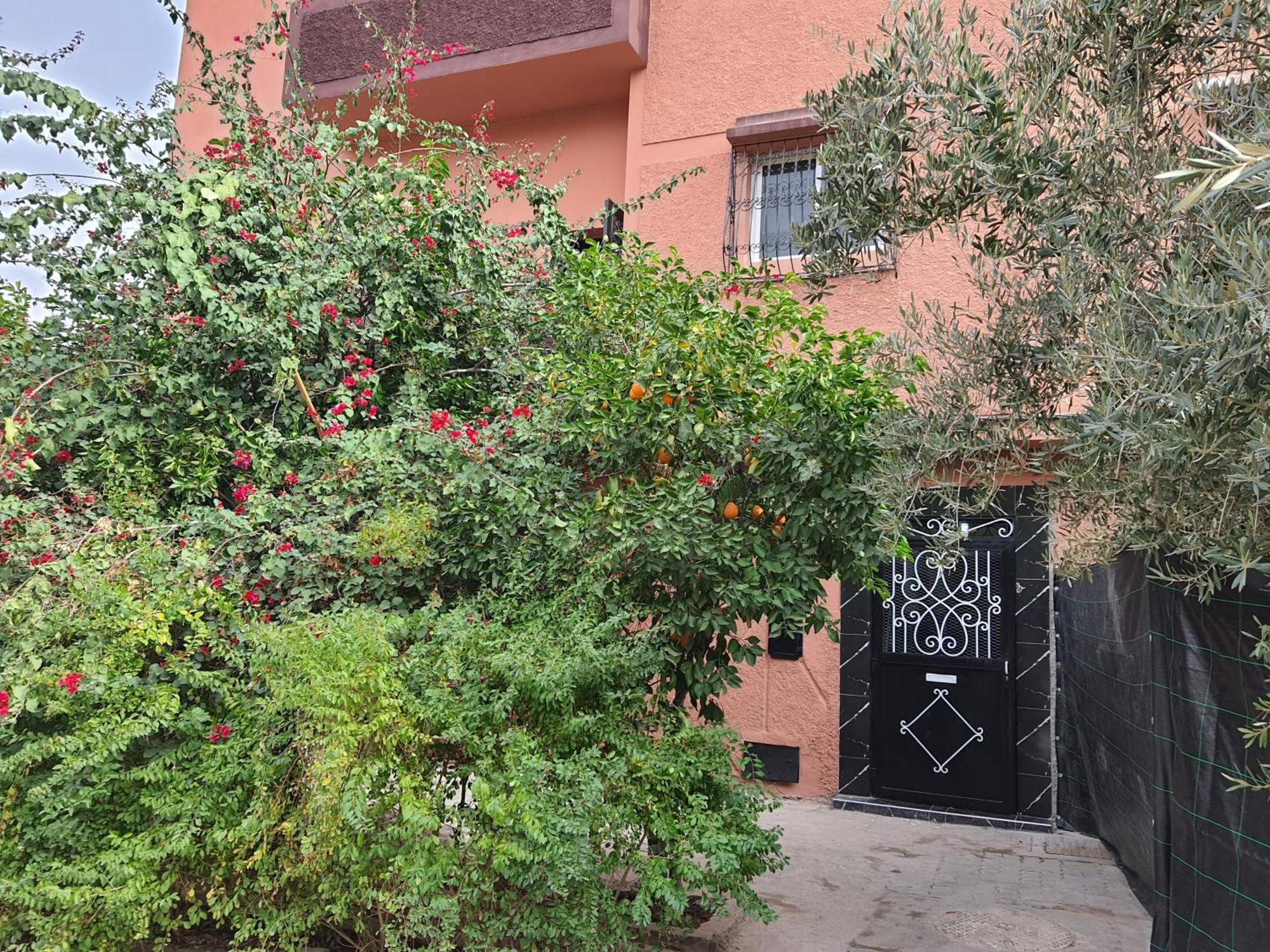 Marrakech Plus Marrákes Kültér fotó