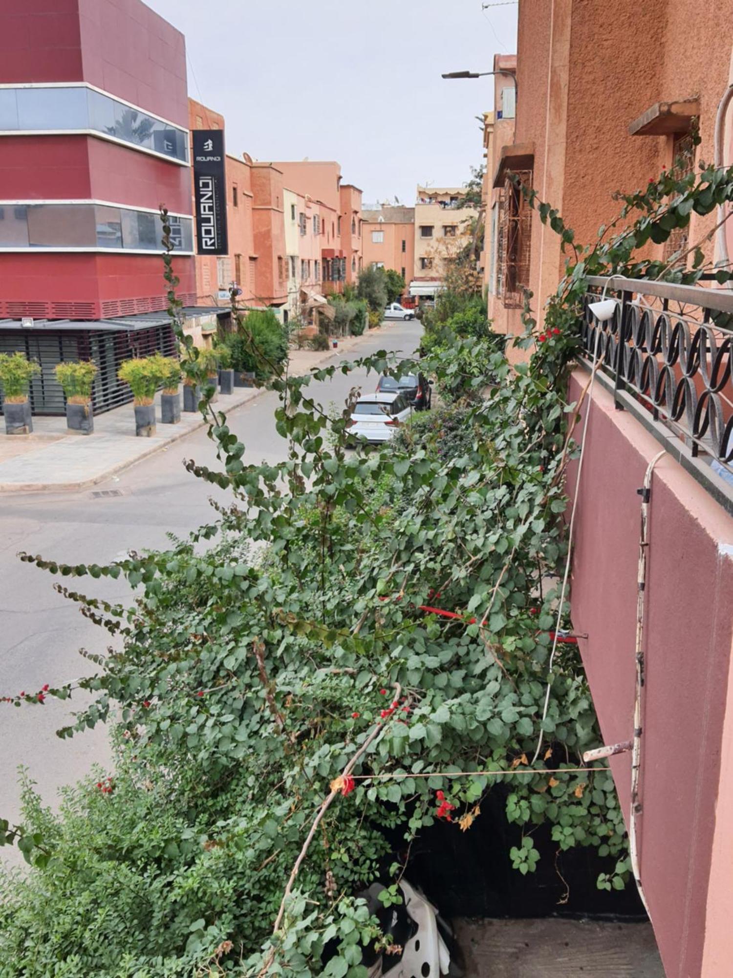 Marrakech Plus Marrákes Kültér fotó
