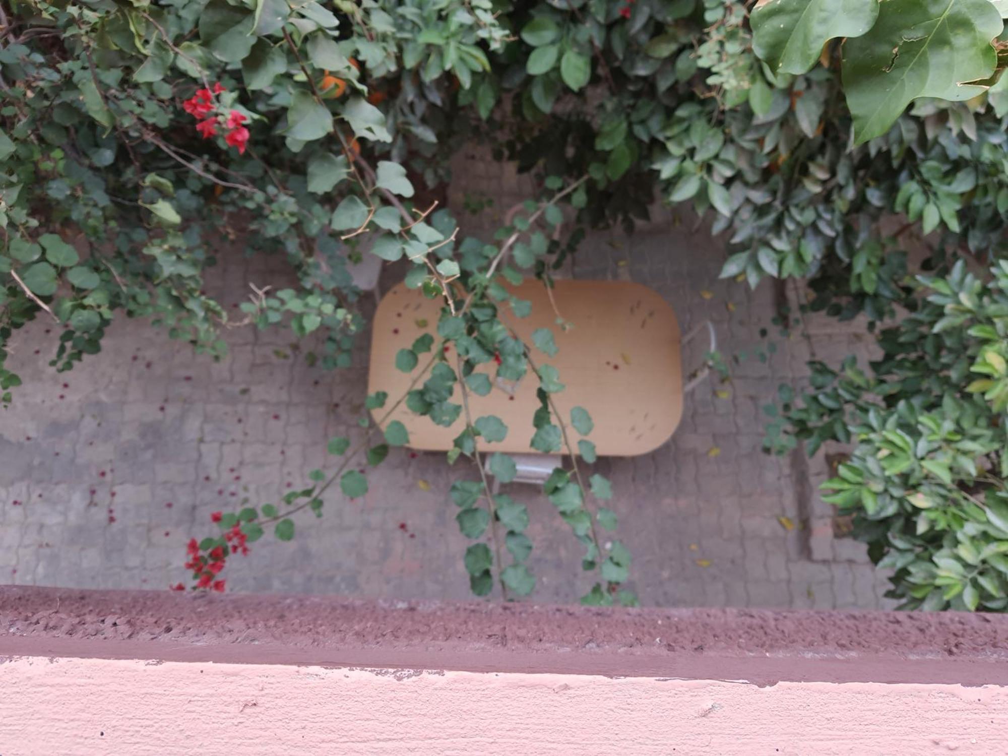 Marrakech Plus Marrákes Kültér fotó